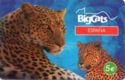 Bigcats - Blue
