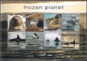Frozen Planet - Whales, seals