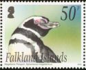 Magellanic Penguin (Spheniscus magellanicus)