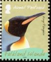 King Penguin (Aptenodytes patagonicus)