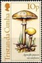 Agrocybe praecox