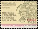 Universal Exposition "Milan 2015" - Plums