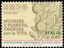 Universal Exposition "Milan 2015" - Oranges