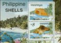 Philippine Shells