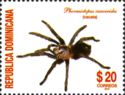 Haitian Brown Tarantula (Phormictopus cancerides)
