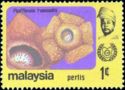 Rafflesia hasselti