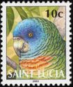 St. Lucia Parrot (Amazona versicolor)