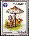 Parasol Mushroom (Lepiota procera)