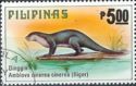 Oriental Small-clawed Otter (Amblonyx cinerea)