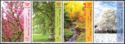 Nature Day: The Four Seasons setanent strip