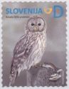 Ural Owl (Strix uralensis)