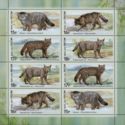 Fauna of Russia - Wild Cats (I)