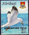 Ring-billed Gull (Larus delawarensis) - overprinted