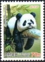 Giant Panda (Ailuropoda melanoleuca)