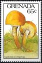 Cystolepiota eriophora