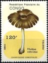 Pluteus cervinus