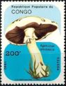 Agaricus arvensis