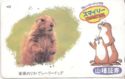 Prairie dog / Yamatane
