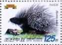 Indian Crested Porcupine (Hystrix indica)