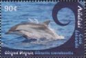 Striped Dolphin (Stenella coeruleoalba)