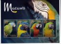 Macaws (2)