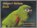 Red-shouldered Macaw (Diopsittaca nobilis)