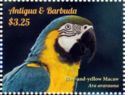 Blue-and-yellow Macaw (Ara ararauna)