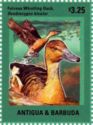 Fulvous Whistling-duck (Dendrocygna bicolor)