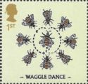 Waggle Dance