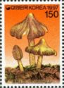 Inocybe fastigiata