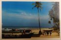 Colva Beach in Goa
