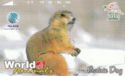World of Animals - Prairie Dog