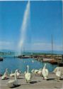 Geneva, Jet d'eau and the swans