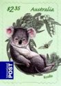 Koala (Phascolarctos cinereus)