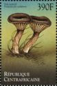 Pseudoclitocybe cyathiformis