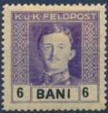 Emperor Karl I (1887-1922) overprinted in BANI