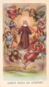 "Rose of Viterbo", Viterbo, Bevilacqua G. Cartoleria - Viterbo (IT), Lazio - Saints (F)