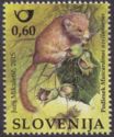 Hazel Dormouse (Muscardinus avellanarius)