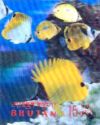 Longnose Butterflyfish (Forcipiger longirostris)