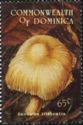 Inocybe littoralis