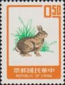Chinese Hare (Lepus sinensis) 