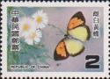 Yellow Orange Tip (Ixias pyrene insignis) 