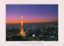 Tokyo. Shinjyuku and Tokyo Tower