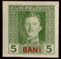 Emperor Karl I (1887-1922) overprinted in BANI