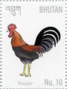 Rooster