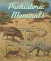 Prehistoric Mammals