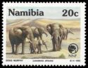 African Bush Elephant (Loxodonta africana africana)