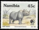 Black Rhinoceros (Diceros bicornis)