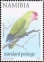 Rosy-faced Lovebird (Agapornis roseicollis)