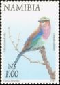 Lilac-breasted Roller (Coracias caudatus)